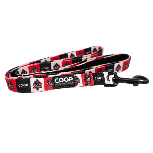 Pet Leash (6 Ft.)